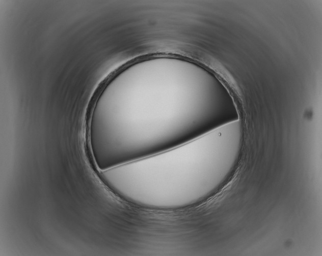 X0000098031028200803280726