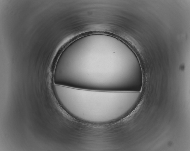 X0000098031029200803280726