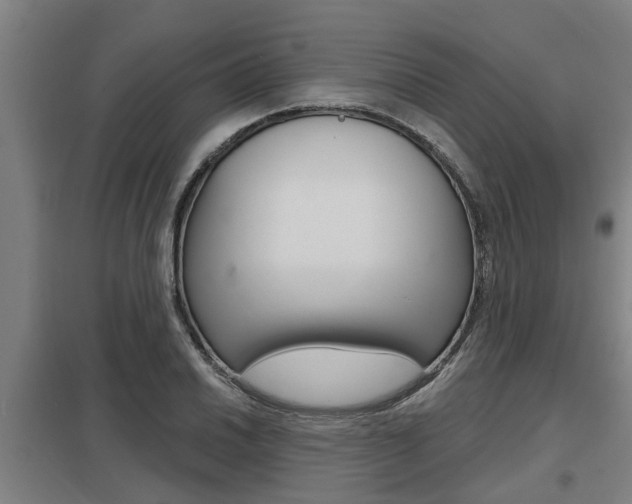 X0000098031030200803280726
