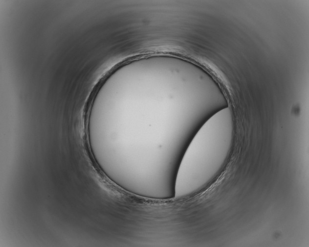 X0000098031031200803280726