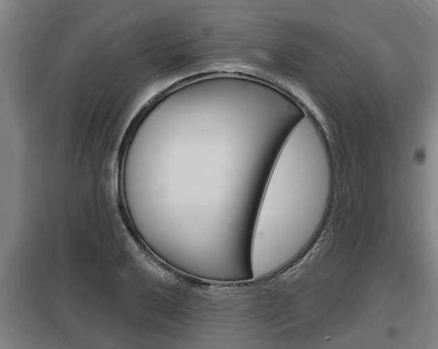 X0000098031032200803280726