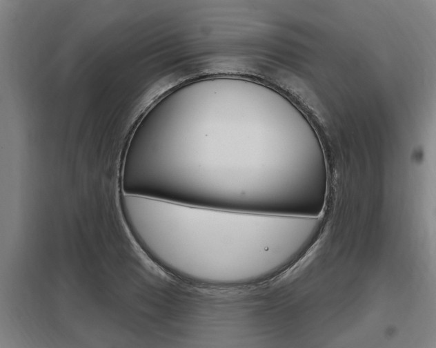 X0000098031033200803280726