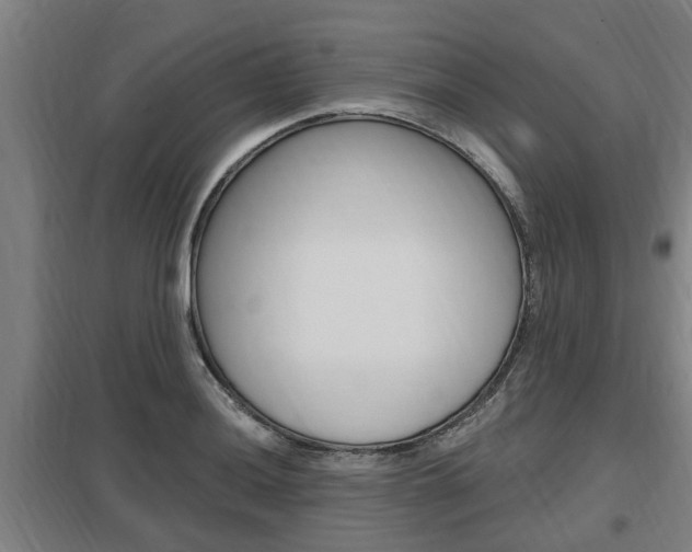 X0000098031036200803280726