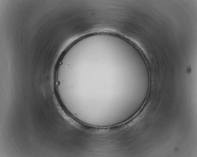X0000098031038200803280726