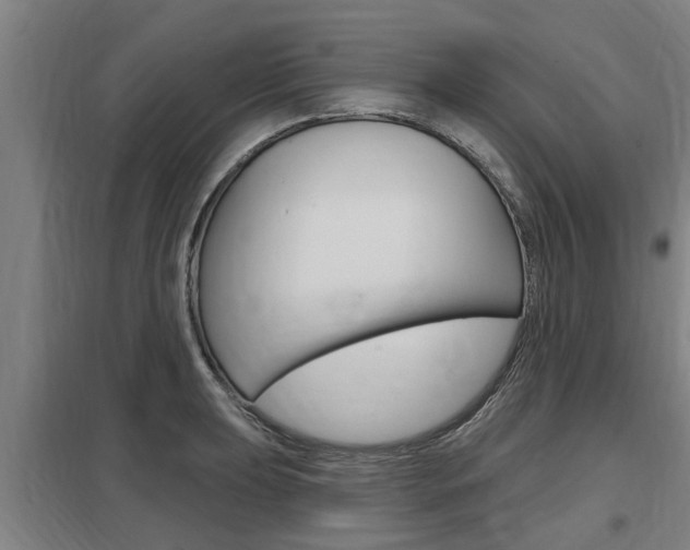 X0000098031039200803280726