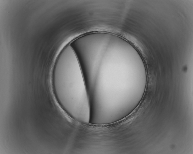 X0000098031040200803280726