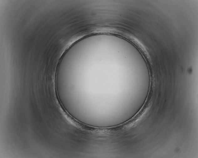 X0000098031041200803280726