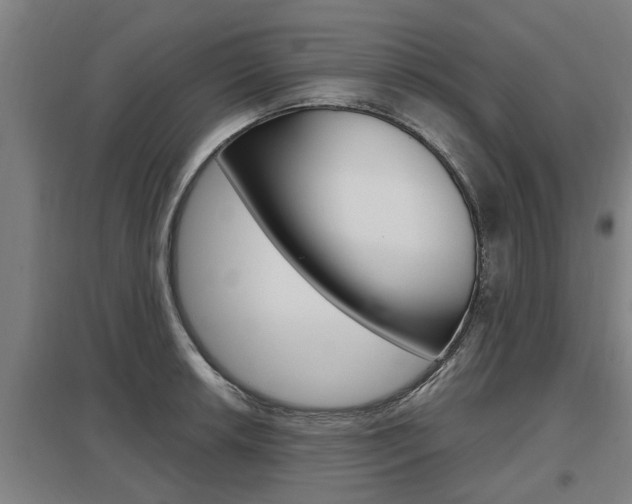 X0000098031042200803280726