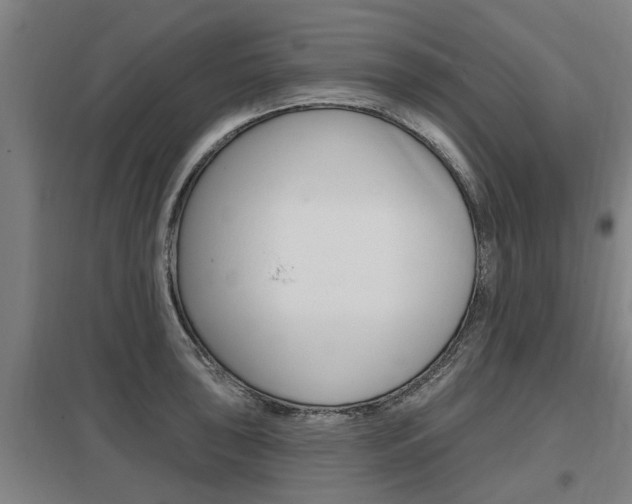 X0000098031043200803280726