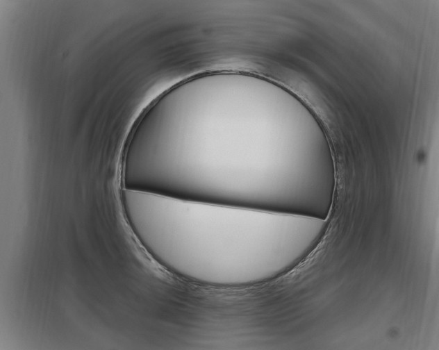 X0000098031044200803280726
