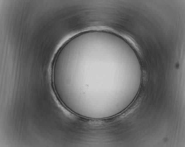 X0000098031046200803280726