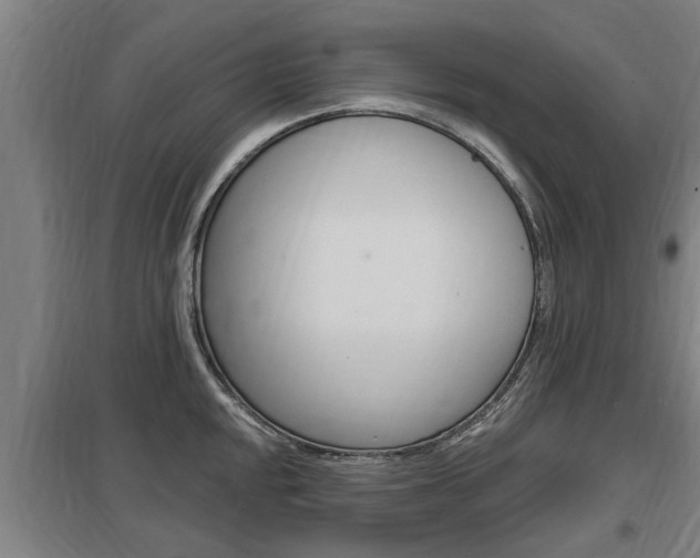 X0000098031048200803280726