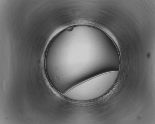X0000098031053200803280726