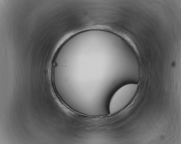 X0000098031054200803280726