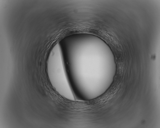 X0000098031057200803280725