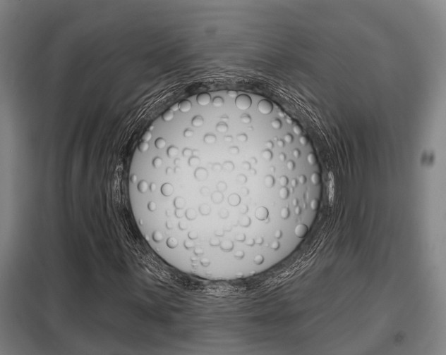 X0000098031059200803280725
