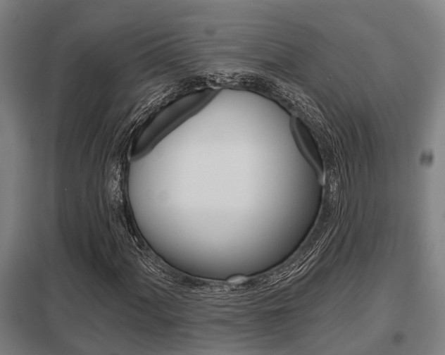 X0000098031060200803280725