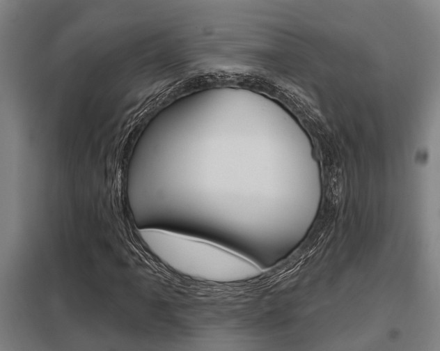 X0000098031061200803280725