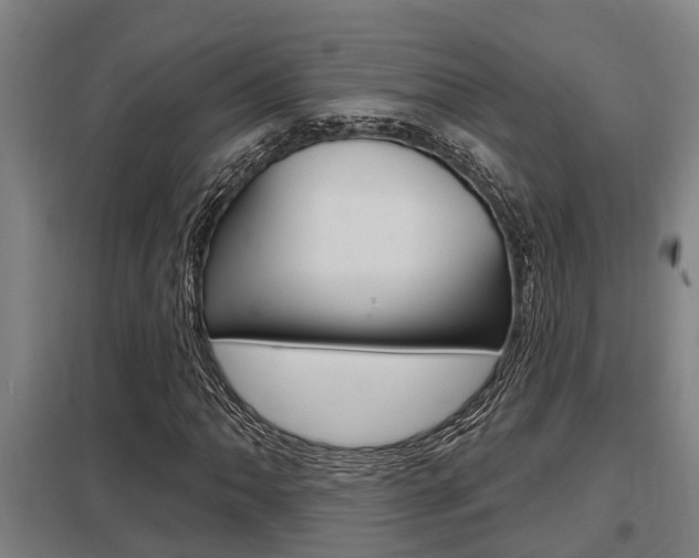 X0000098031062200803280725