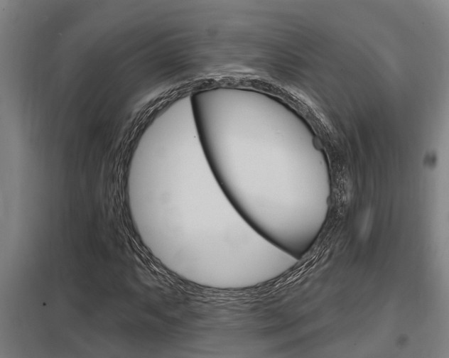 X0000098031063200803280725
