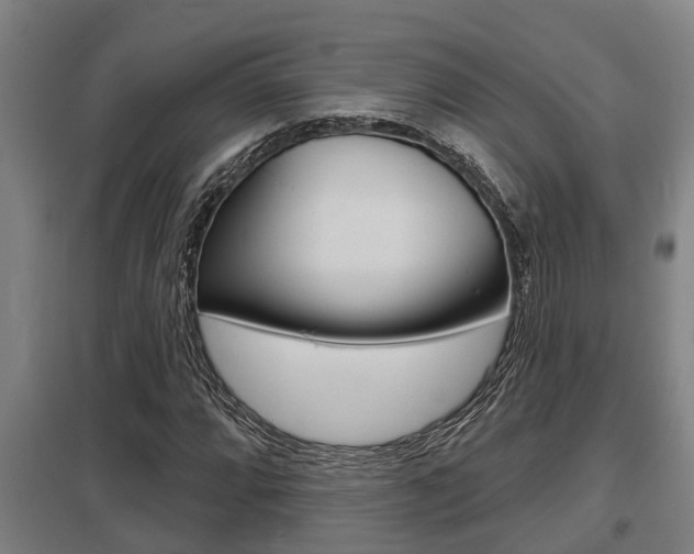 X0000098031064200803280725