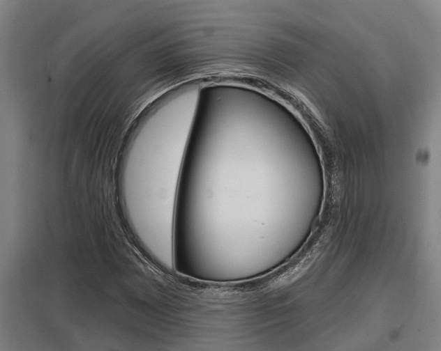 X0000098031065200803280725