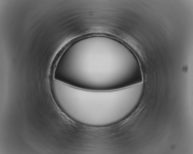 X0000098031068200803280725