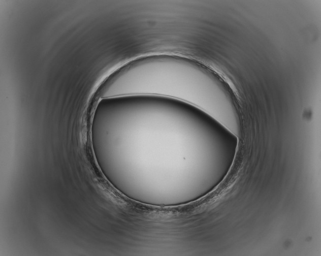 X0000098031069200803280725