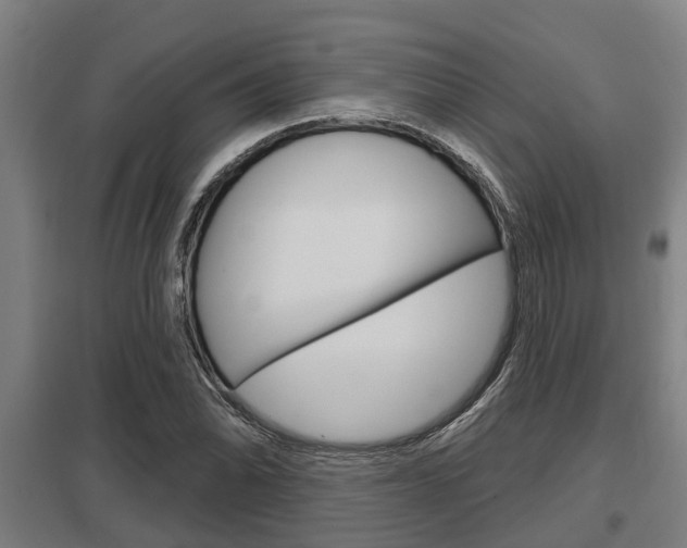 X0000098031070200803280725