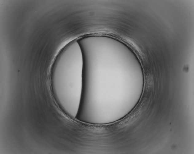 X0000098031071200803280725