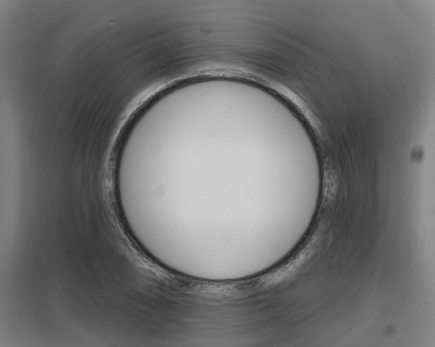 X0000098031074200803280725