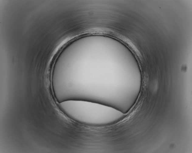 X0000098031075200803280725