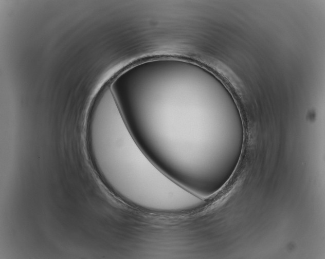 X0000098031077200803280725