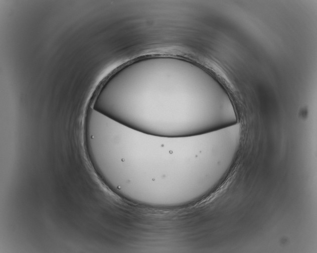 X0000098031079200803280725