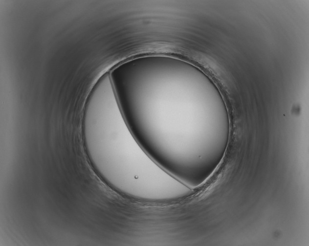 X0000098031081200803280725
