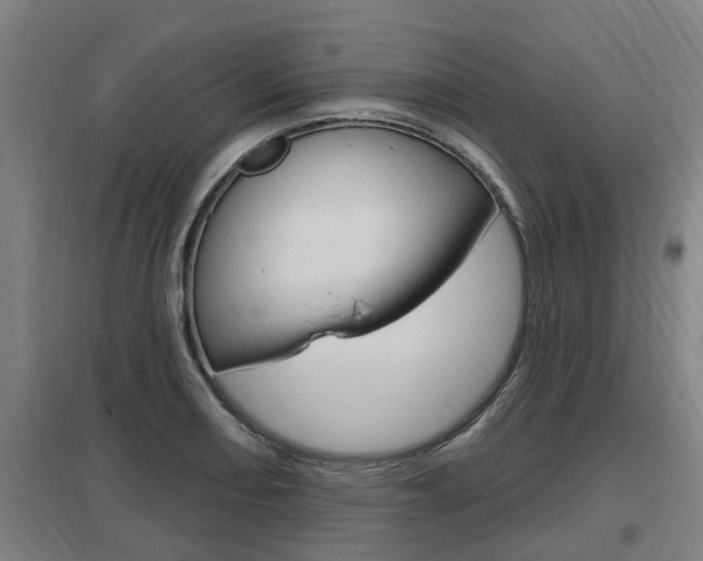 X0000098031082200803280725