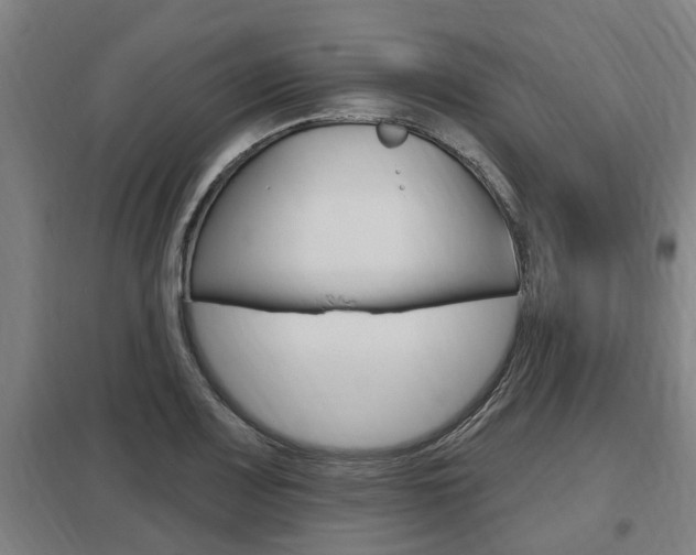 X0000098031083200803280725