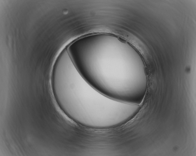 X0000098031084200803280725