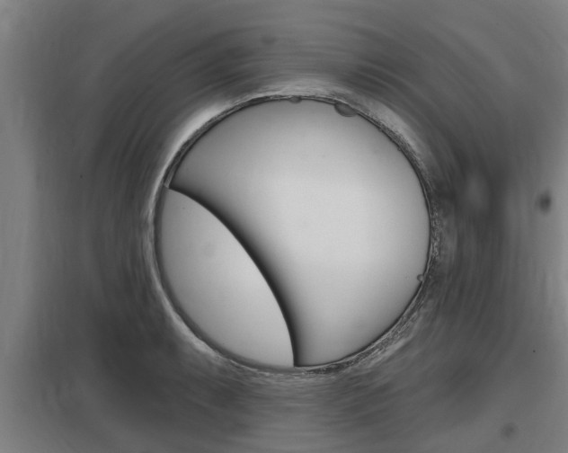 X0000098031087200803280725