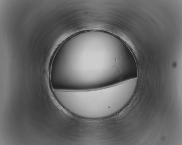 X0000098031088200803280725