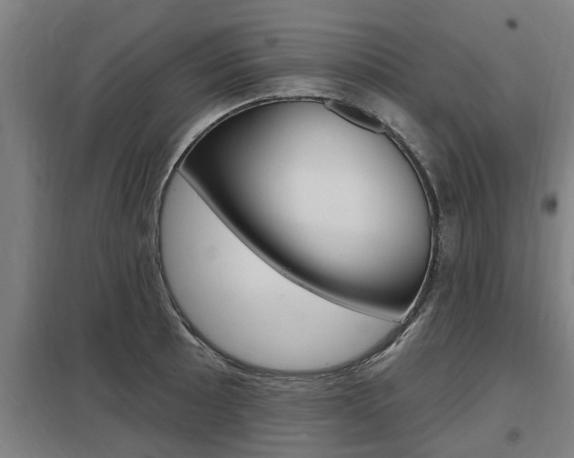 X0000098031089200803280725