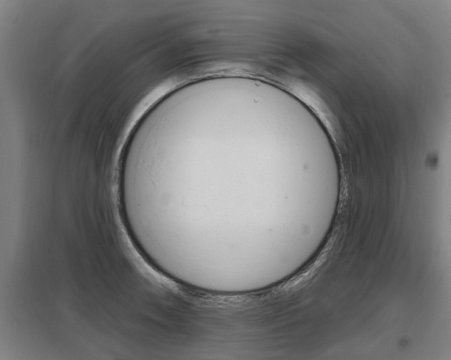 X0000098031090200803280725