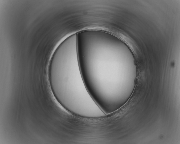 X0000098031092200803280725