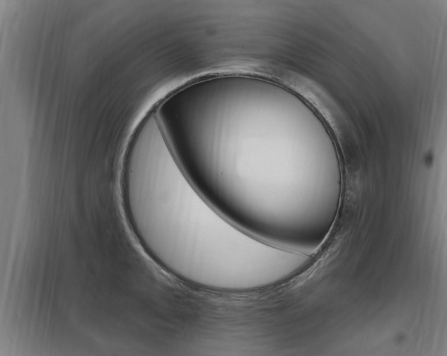 X0000098031093200803280725