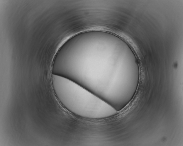 X0000098031097200803280725