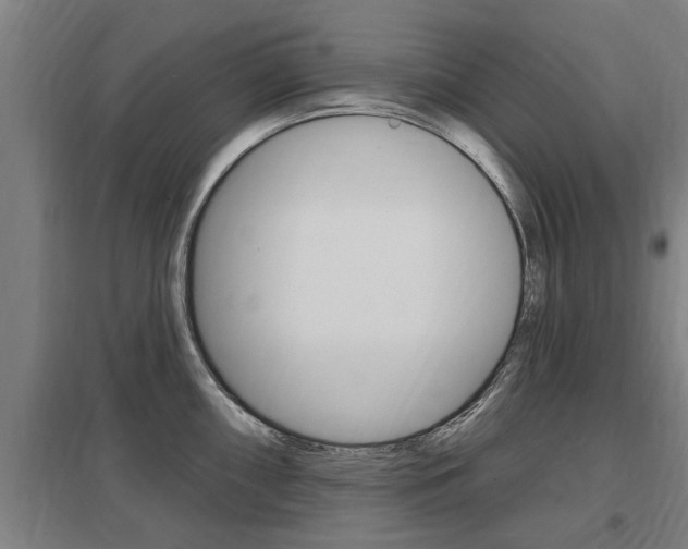 X0000098031098200803280725