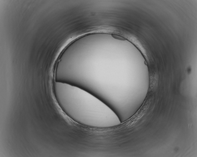 X0000098031099200803280725