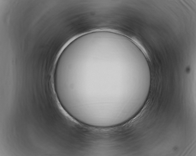 X0000098031100200803280725