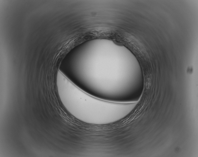 X0000098031108200803280724