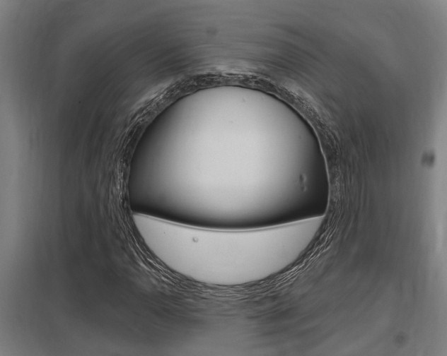 X0000098031110200803280724